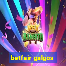 betfair galgos